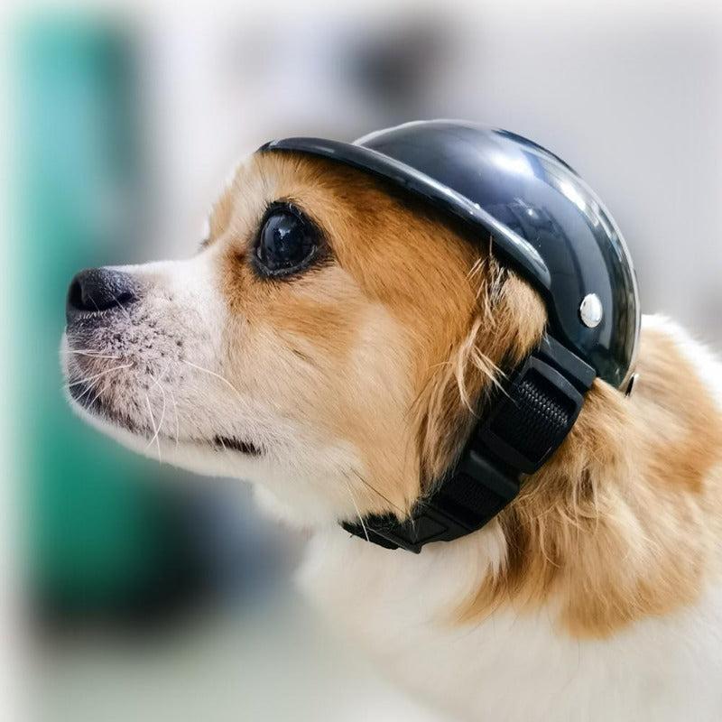 Mini Pet Helmet Motorcycle Helmet Dog Cat Headwear Accessories