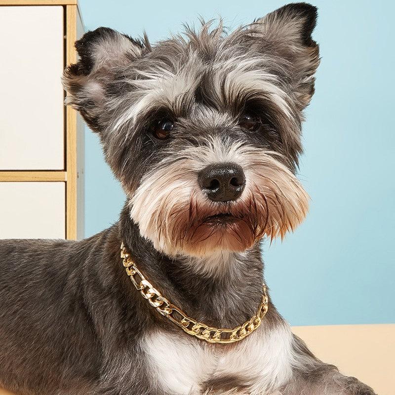 Golden Chain Pet Necklace for Dogs and Cats Photo Prop and Fashionable Accessory
