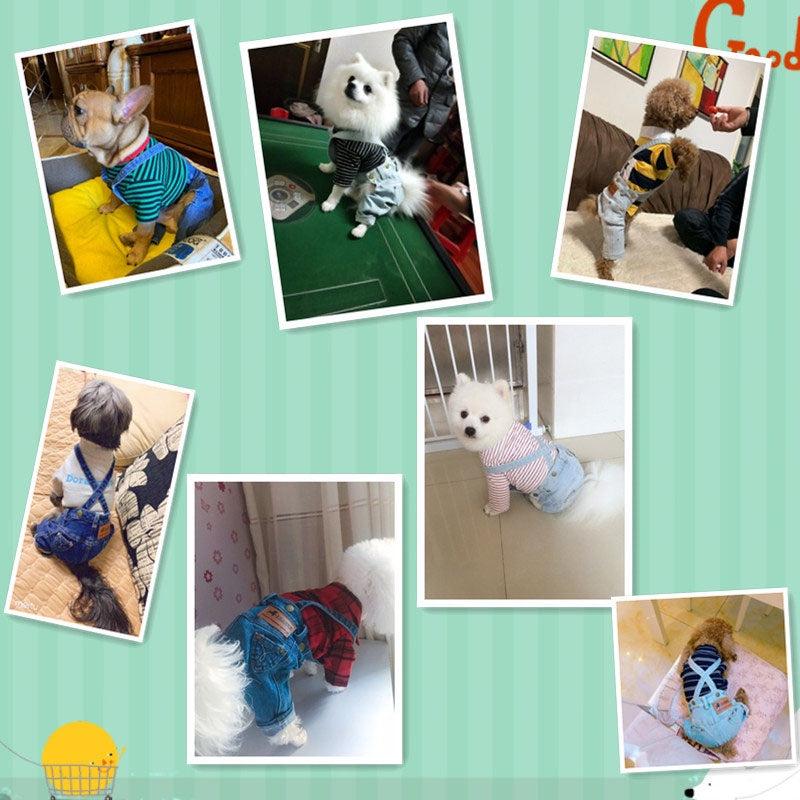 Stylish Denim Jumpsuit for Small and Medium Dogs - Fashionable Pet Clothing