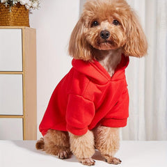 Hooded Pet Outfit for Dogs and Cats - Keep Your Furry Friend Stylish