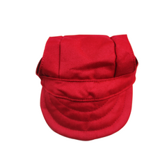 Dog Visor Hat Outdoor Sports Cap with Ear Holes