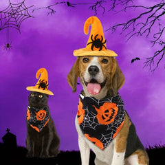 Pet Halloween Spider Skull Headwear And Scarf Set
