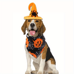Pet Halloween Spider Skull Headwear And Scarf Set