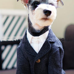 Pet Formal Suit Dog Clothes For Weeding Party Pet Apparel