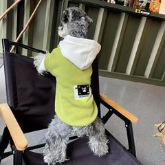 Warm Cozy Dog Hoodie for Winter