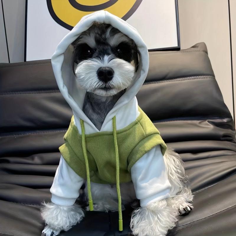 Warm Cozy Dog Hoodie for Winter