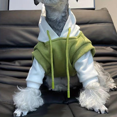 Warm Cozy Dog Hoodie for Winter