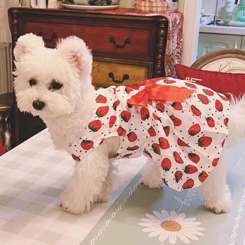 Summer Thin Floral Pet Princess Dress for Small Dog & Cat