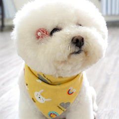Colorful Heart Graphic Pet Scarf for Dogs and Cats