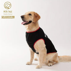 Summer Dog T Shirt with Mommy Boy Print - Small Medium Large Dogs