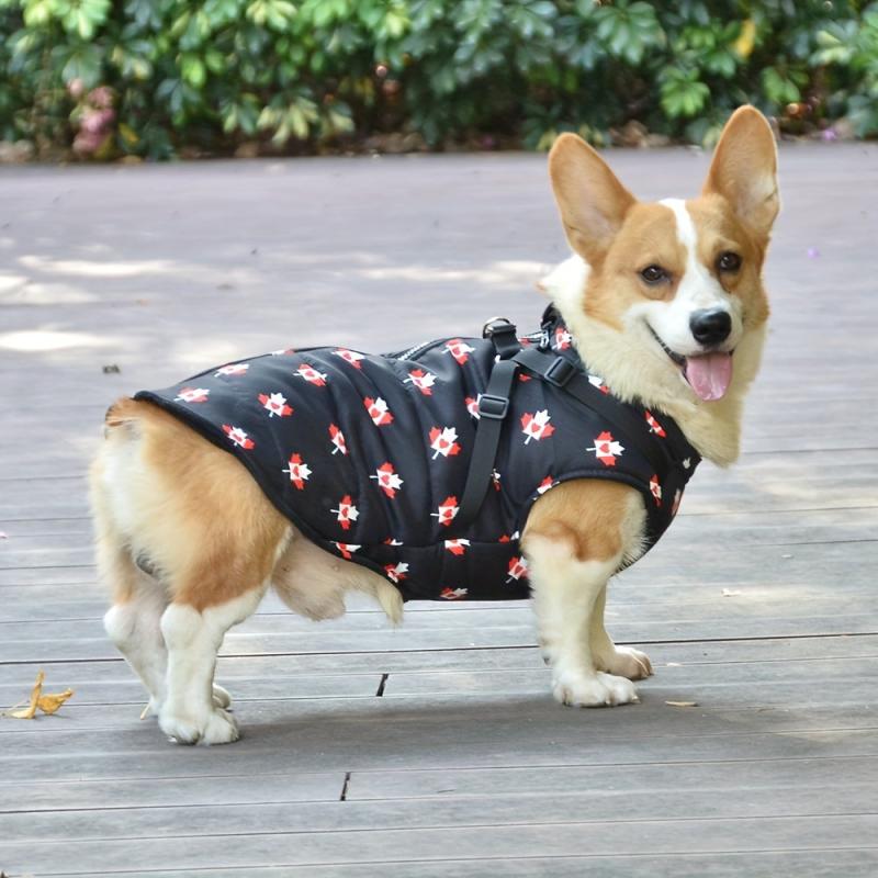 Canadian Flag Pet Coat for Autumn and Winter