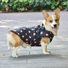 Canadian Flag Pet Coat for Autumn and Winter