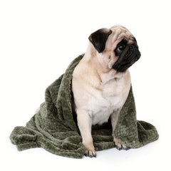 Furry Plush Pet Throw Blanket for Small Dogs and Cats