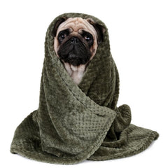 Furry Plush Pet Throw Blanket for Small Dogs and Cats