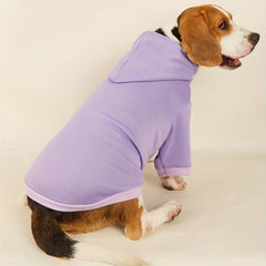 Summer Pet Clothes Hooded Outfit for Dogs and Cats