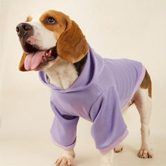 Summer Pet Clothes Hooded Outfit for Dogs and Cats