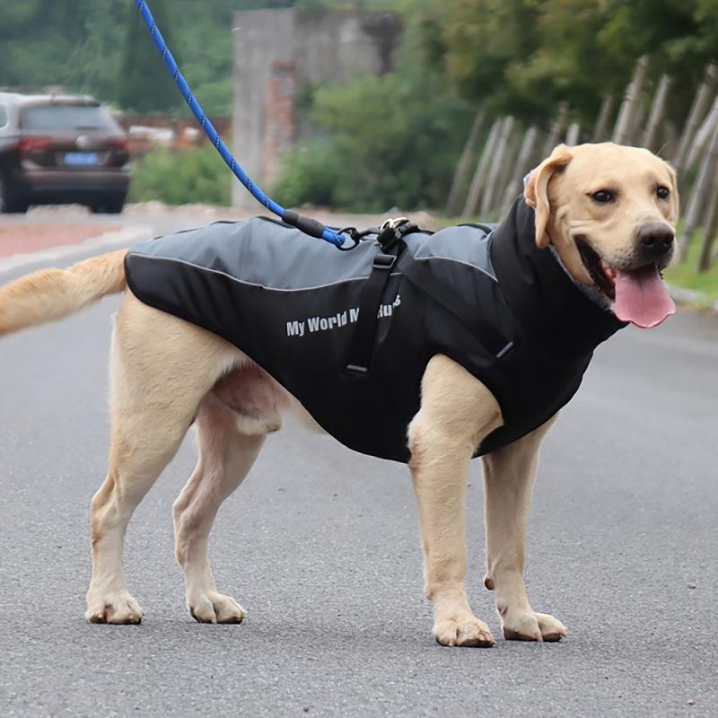 Reflective Dog Jacket for Winter