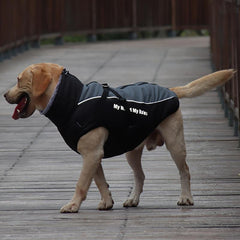 Reflective Dog Jacket for Winter