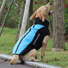 Reflective Dog Jacket for Winter