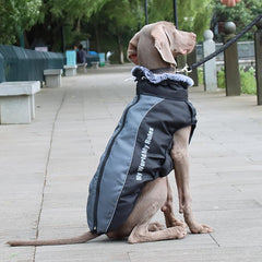 Reflective Dog Jacket for Winter