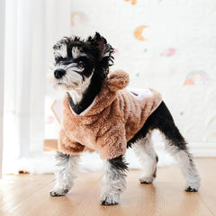 Pet Warm Teddy Bear Costume Dog & Cat Pet Costumes