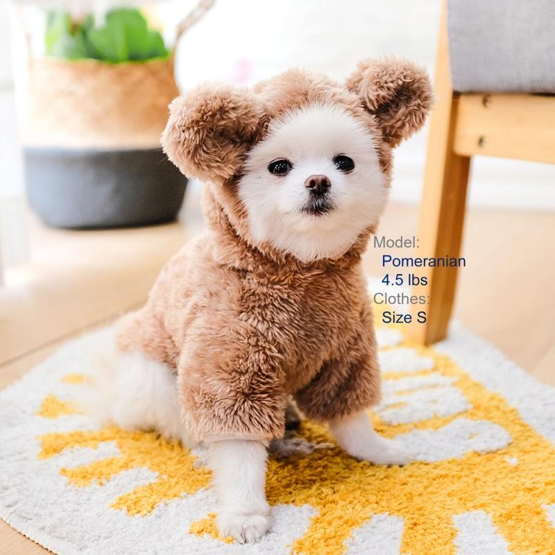 Pet Warm Teddy Bear Costume Dog & Cat Pet Costumes