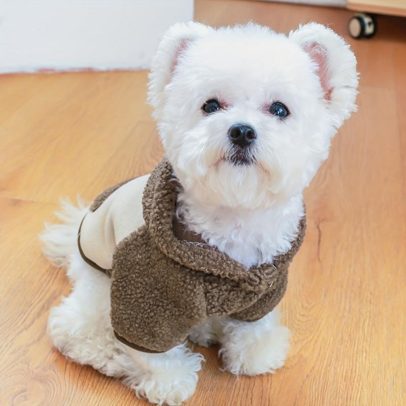 Pet Back Pocket Patched Hoodie For Dog