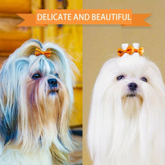 30pcs Orange Autumn Graphic Bow Rubber Band Dog Hair Accessory