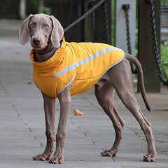 Reflective Big Dog Outdoor Jacket Warm Pet Clothes Dog Padded Coat