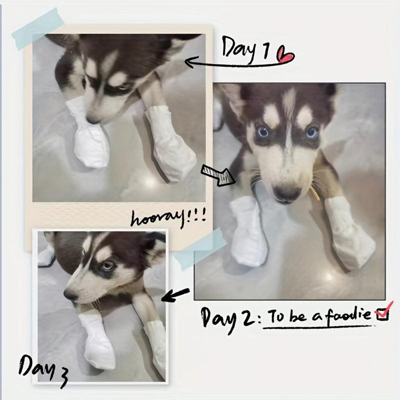 Disposable Dog Shoes for Outdoor Protection