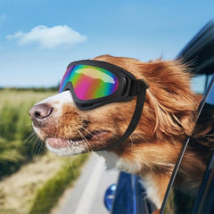 Stylish UV Protection Dog Goggles