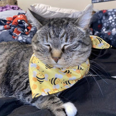 Bee Print Dog Bandana - Stylish Accessory for Your Pup