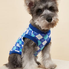 Argyle Dog Tank Top in 3 Sizes