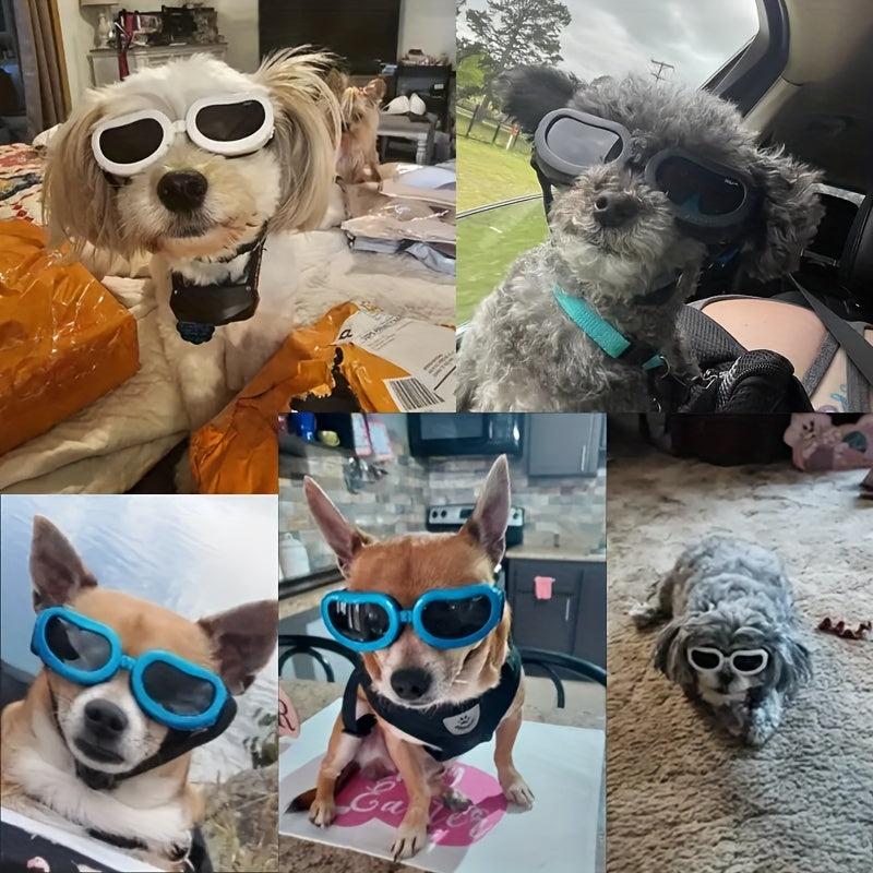 Windproof Waterproof Pet Goggles for Dogs - Protect Your Pup's Eyes