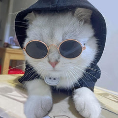 Pet Round Sunglasses - UV Protection & Style