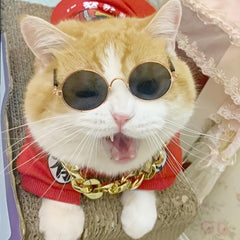 Pet Round Sunglasses - UV Protection & Style