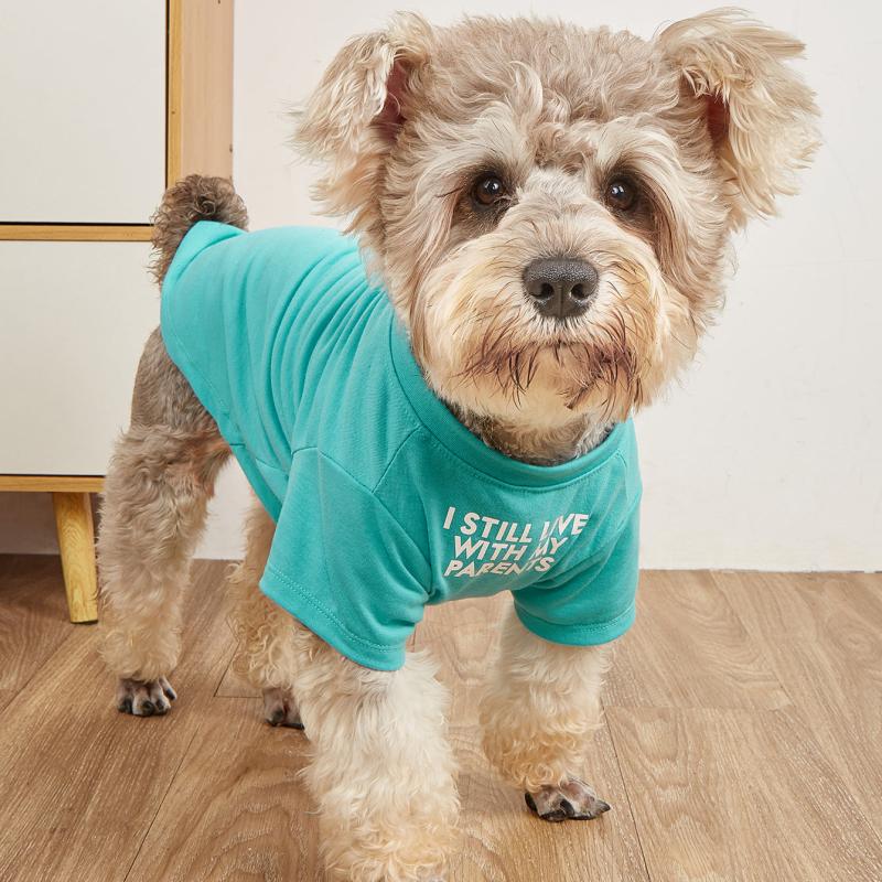 Funny Dog Tee - Still Live With My Parents - Small/Medium