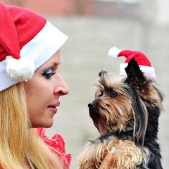 Christmas Pet Santa Hat Small Dog Hat Red Plush Puppy Cap