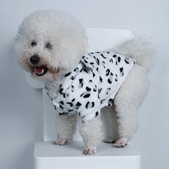 Pet Hoodie Sweatshirt With Little Bear Ears Dog Sweaters