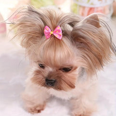 Pet Bowknot Hair Clips for Dog and Cat, Headwear Accessories