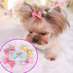 Pet Bowknot Hair Clips for Dog and Cat, Headwear Accessories