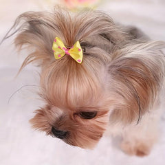 Pet Bowknot Hair Clips for Dog and Cat, Headwear Accessories