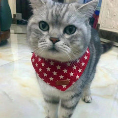 Red Small Dog Puppy Drool Scarf Bib