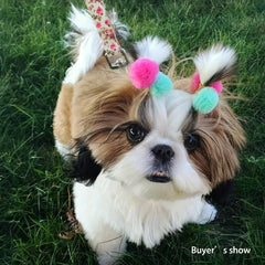 50 Colorful Pet Hair Bows for Dogs - Headwear & Accessories