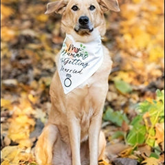 Chic Wedding Dog Bandana for Special Occasions