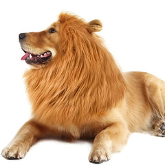 Adjustable Lion Wig with Ears for Dogs and Fun Mane Costume