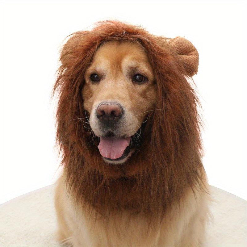 Adjustable Lion Wig with Ears for Dogs and Fun Mane Costume