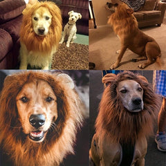 Adjustable Lion Wig with Ears for Dogs and Fun Mane Costume