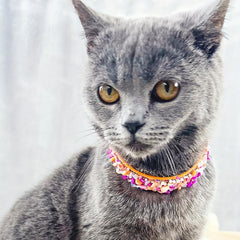 Boho Floral Stone Pet Necklace for Dogs and Cats Eye Catching Accessory