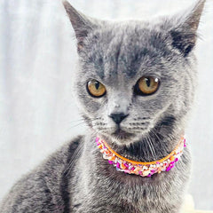 Boho Floral Stone Pet Necklace for Dogs and Cats Eye Catching Accessory